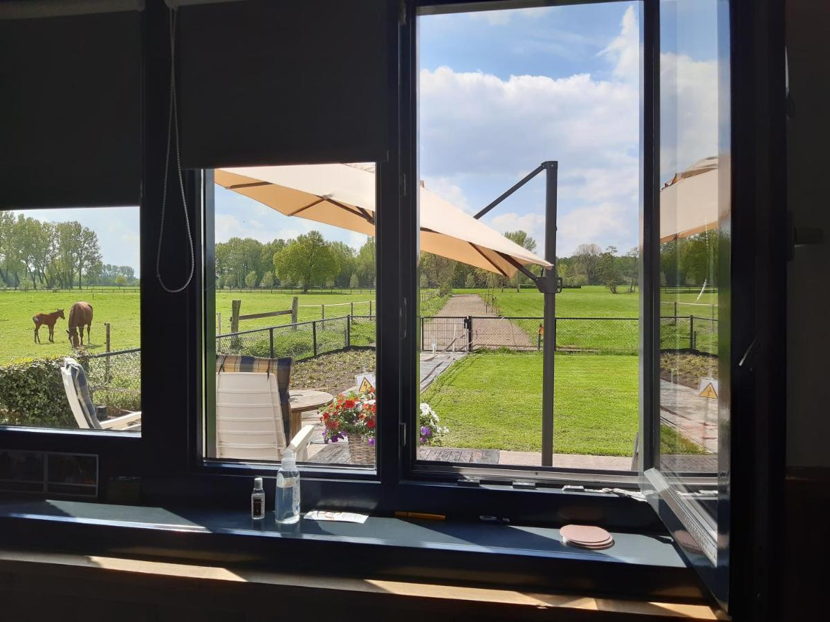 Bed and Breakfast De Weije Wereld Sint-Oedenrode Exteriér fotografie