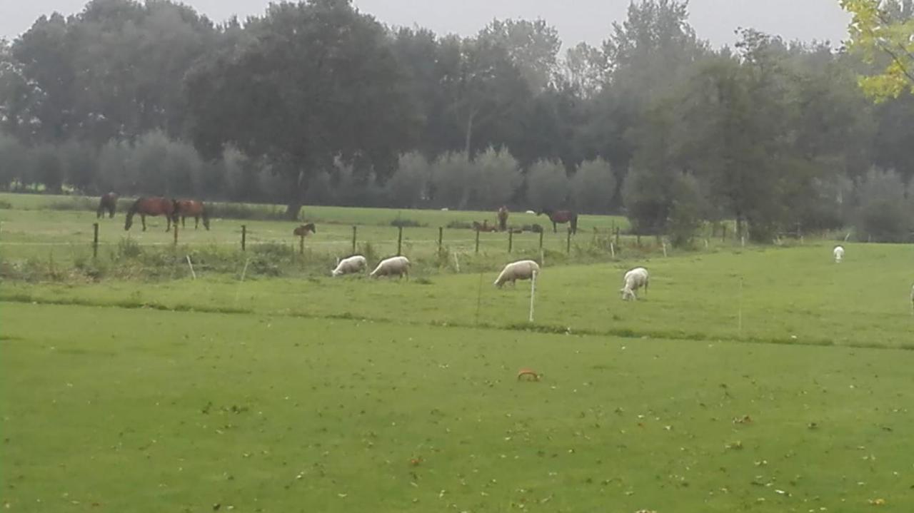 Bed and Breakfast De Weije Wereld Sint-Oedenrode Exteriér fotografie