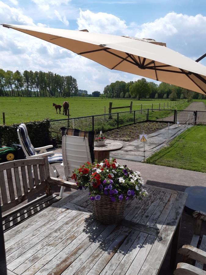 Bed and Breakfast De Weije Wereld Sint-Oedenrode Exteriér fotografie