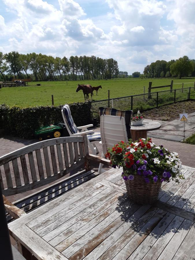 Bed and Breakfast De Weije Wereld Sint-Oedenrode Exteriér fotografie